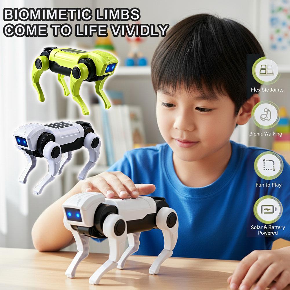 Science Toys Diy - DIY Assembly RC Robot Dog Toy